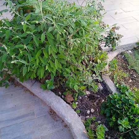 Provencal Style In Mediterranean Seaside Town * La Londe-les-Maures