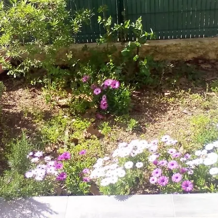 Provencal Style In Mediterranean Seaside Town *