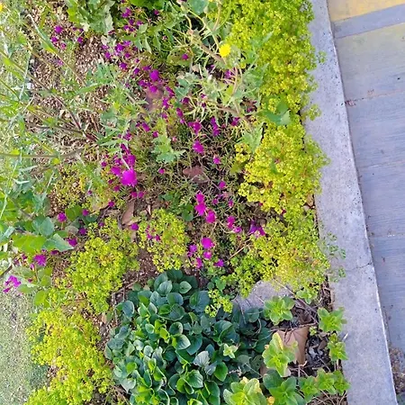 Provencal Style In Mediterranean Seaside Town Ferienhaus La Londe-les-Maures